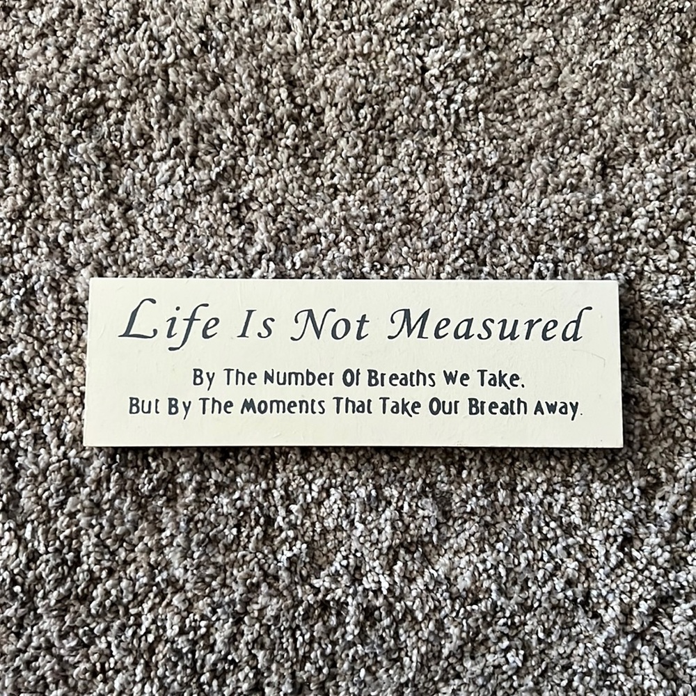 Life Wood Sign Cute Wood Decor Breathes We Take